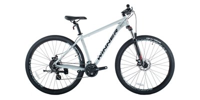 Велосипед 29" IMPULSE 18” Сірий