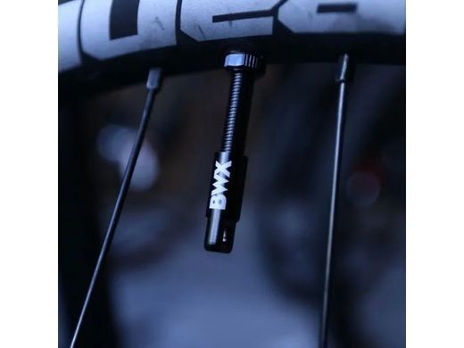 Ніпелі на безкамерку BikeWorkX Tubeless Valves, 2 шт (TLVALVESET/45)