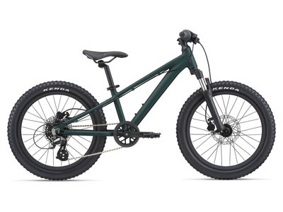 Велосипед детский Giant STP 20 FS Green Trekking (2204024110)