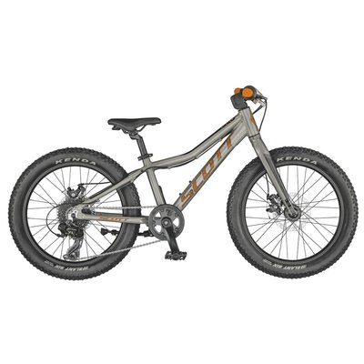 Велосипед дитячий Scott Roxter 20 raw alloy CN 2021 (280879.222)