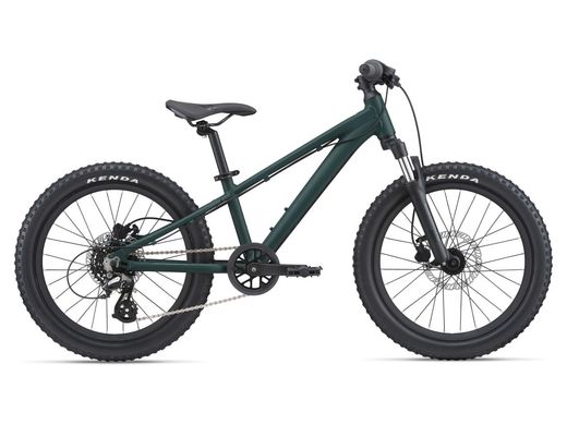 Велосипед дитячий Giant STP 20 FS Green Trekking (2204024110)