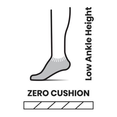 Шкарпетки чоловічі Smartwool Run Zero Cushion Low Ankle Socks, Black, L (SW SW001651.001-L)