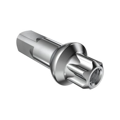 Ніпель латунний DT Swiss Squorx Pro Head Brass 2.0 x 15 мм, Grey (DTSW N0BH20150N0100)