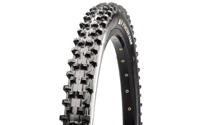 Покришка Maxxis Wetscream 29X2.50, TPI-60X2, Foldable, 3CG/DH/TR (ETB00241500)