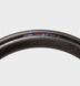 Фото Покришка Panaracer Agilest TLR, 700x25C Black (4931253025167) № 2 из 4