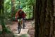 Велосипед гірський Norco Storm 2, 29", 2023, Blue/Grey, M (0670221915)