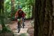 Велосипед гірський Norco Storm 3, 29", 2023, Grey/Blue, M (0670421915)