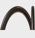 Фото Покришка Panaracer Agilest, 700x28C Black (4931253025075) № 1 из 5