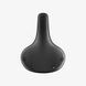 Фото Сідло велосипедне Brooks CAMBIUM C67, Black (17562) № 2 из 7