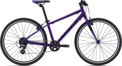Велосипед детский Giant ARX 26 violet 2021 S (GNT-ARX-26-S-Violet)