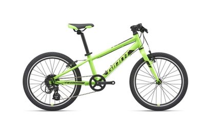 Велосипед детский Giant ARX 20, 2021 Neon Green (2104040510)