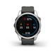 Смарт-годинник Garmin Fenix 7S, Silver/Graphite (753759277819)