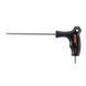 Ключ Ice Toolz 7M30 двосторонній 3.0mm (7M30)