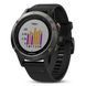 Смарт-годинник Garmin Fenix 5, Slate grey/Black (753759172015)